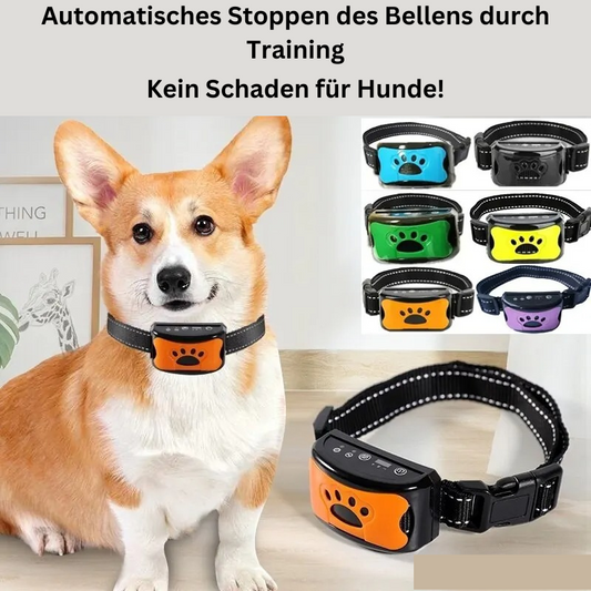 Halsband mit Anti-Bell-Trainingssignal