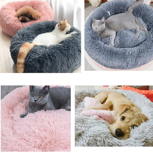 Pfotentraum Komfortoase: Kissenbett für Hunde und Katzen