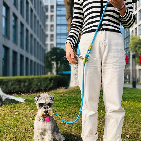 Sicherheitssprint: Reflektierende Zugleine für Hunde aller Größen