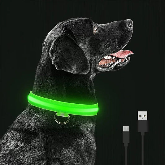 Leuchtendes LED Hundehalsband